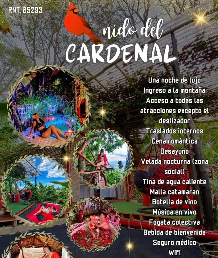 Hotel Nidos De Pajaros à Gigante Extérieur photo